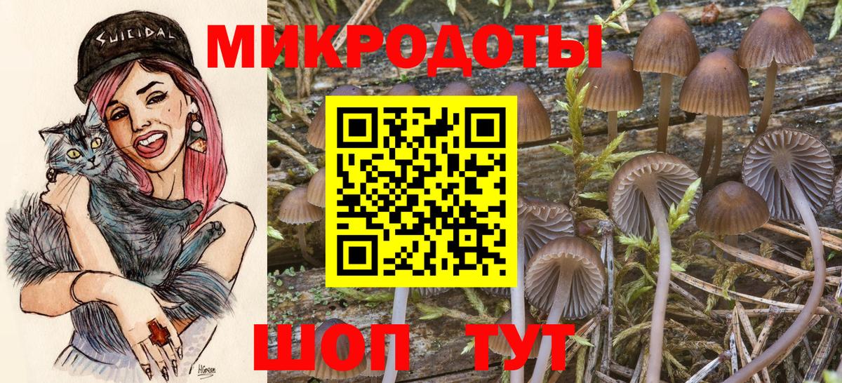 Тулун  Псилоцибиновые грибы прущие грибы  закладка  Вход с VPN 